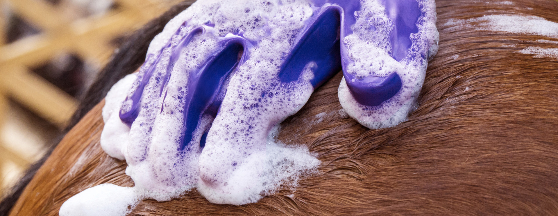 Shampoos & Washes