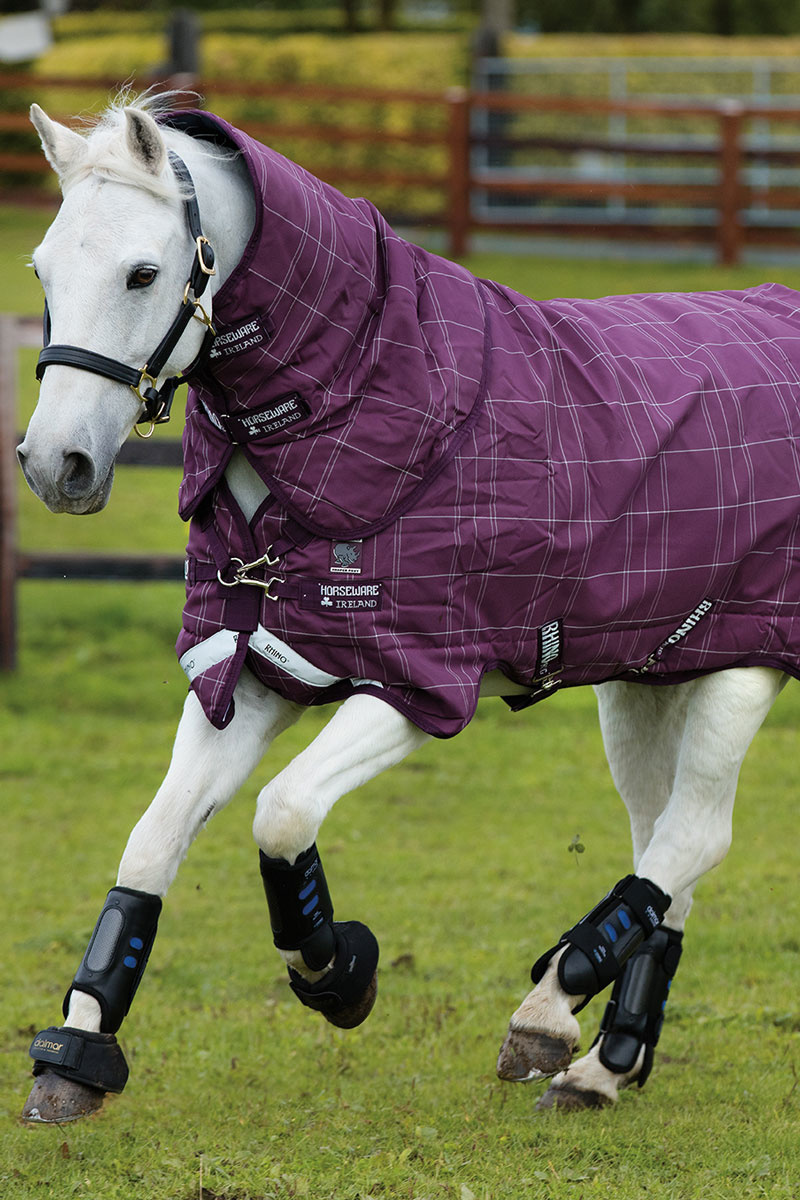 Rhino Pony Plus Medium 200g Turnout Rug Shop Rhino Rugs at Equitogs
