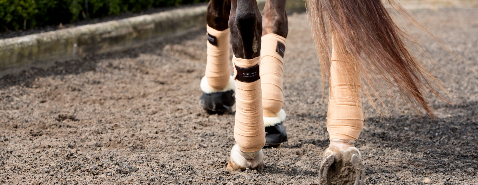 Bandages & Wraps
