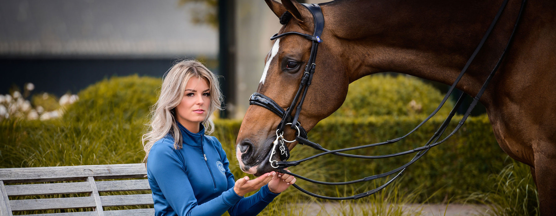 Bridles & Browbands