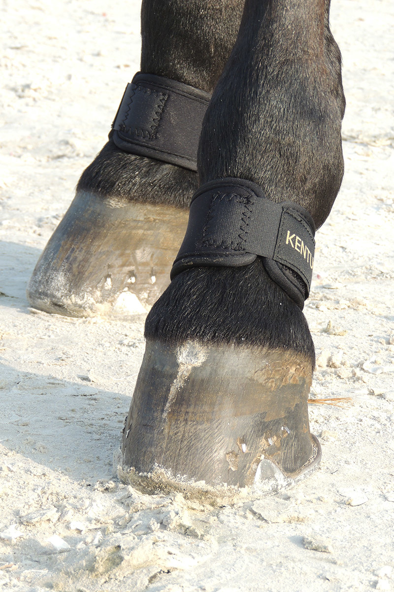 Kentucky Pastern Wrap Shop Kentucky Horsewear at Equitogs Equitogs