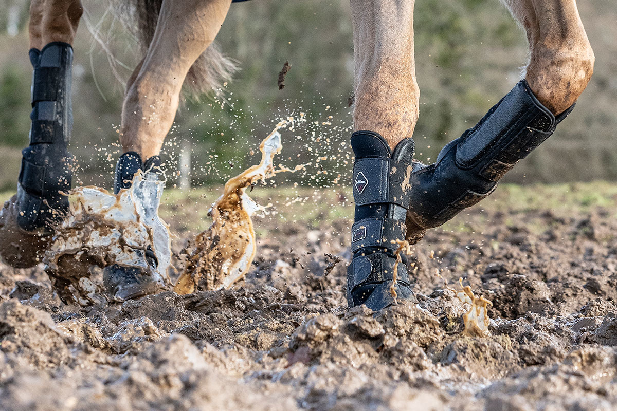 Dealing with Mud Fever | Read our Blog Post | Equiblog | Equitogs - Equitogs