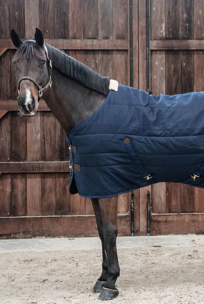 Stable Rug Classic 100g
