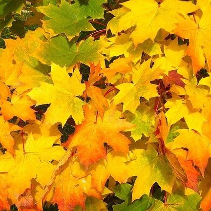 Herfst- en winterproducten
