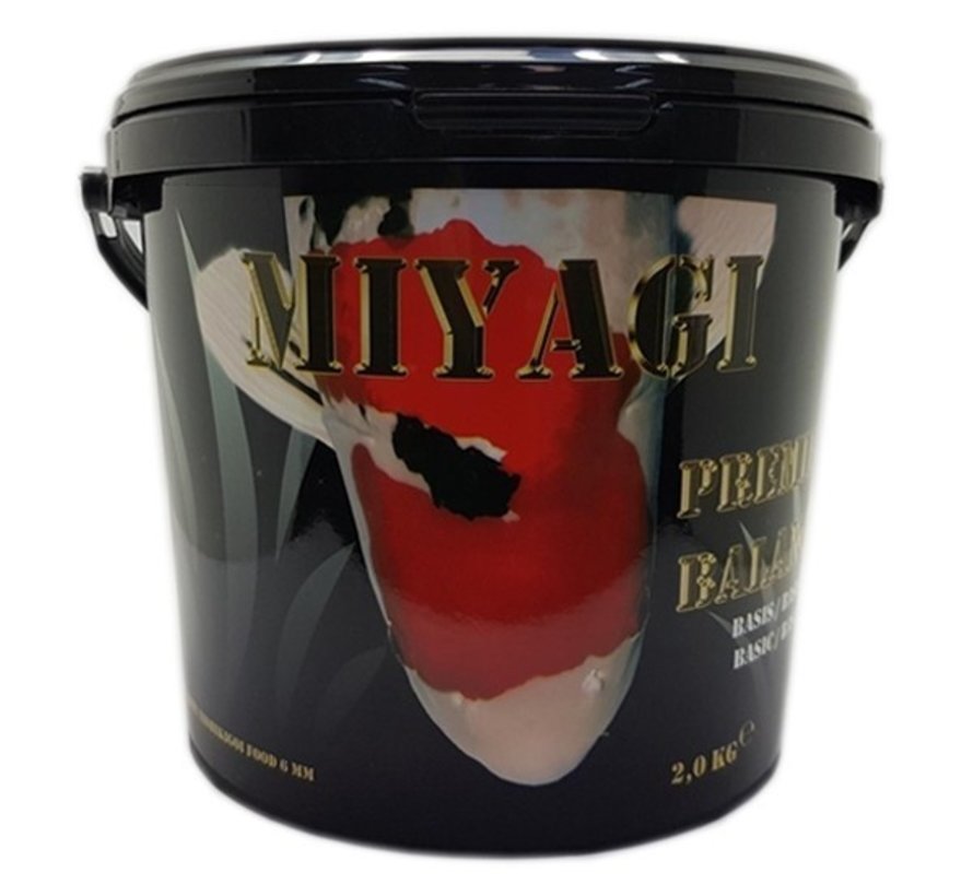 Miyagi Premier Balance 2,0 KG