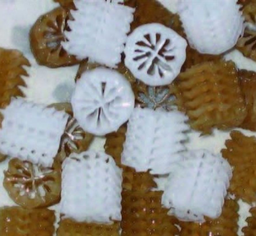 Bio Carrier type Helix 17mm 50ltr