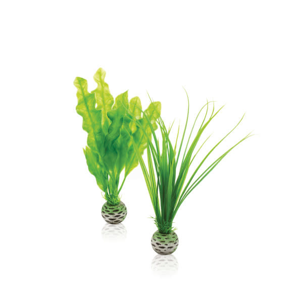 biOrb biOrb Plantenset S Groen 35312042371