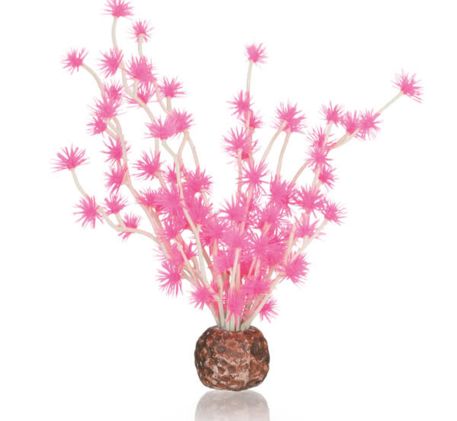 biOrb Bonsai bal roze