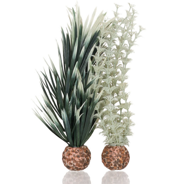 biOrb biOrb ambulia grijs/groen S 35312042483