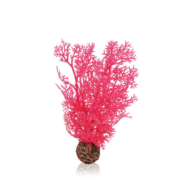 biOrb biOrb hoornkoraal S roze 35312042485