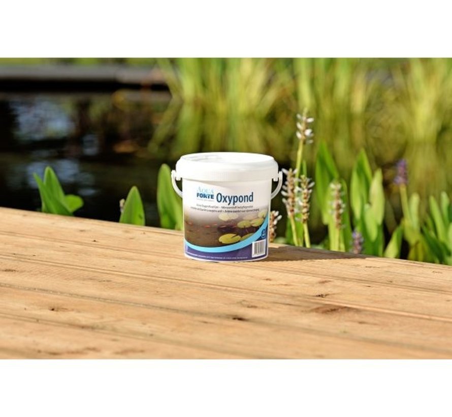 AquaForte Oxypond 1kg emmer