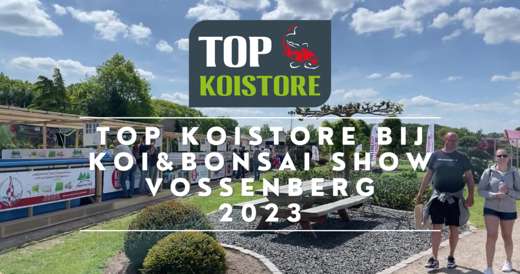 TOP Koistore in de prijzen bij de Koi & Bonsai Show Vossenberg 2023