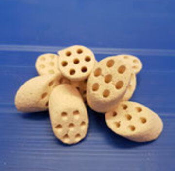 Mountain Tree Mountain Tree Lotus-Wurzel zoutwater 20L