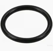 Oase Living Water Oase o ring 42 x 5 SH50 greased
