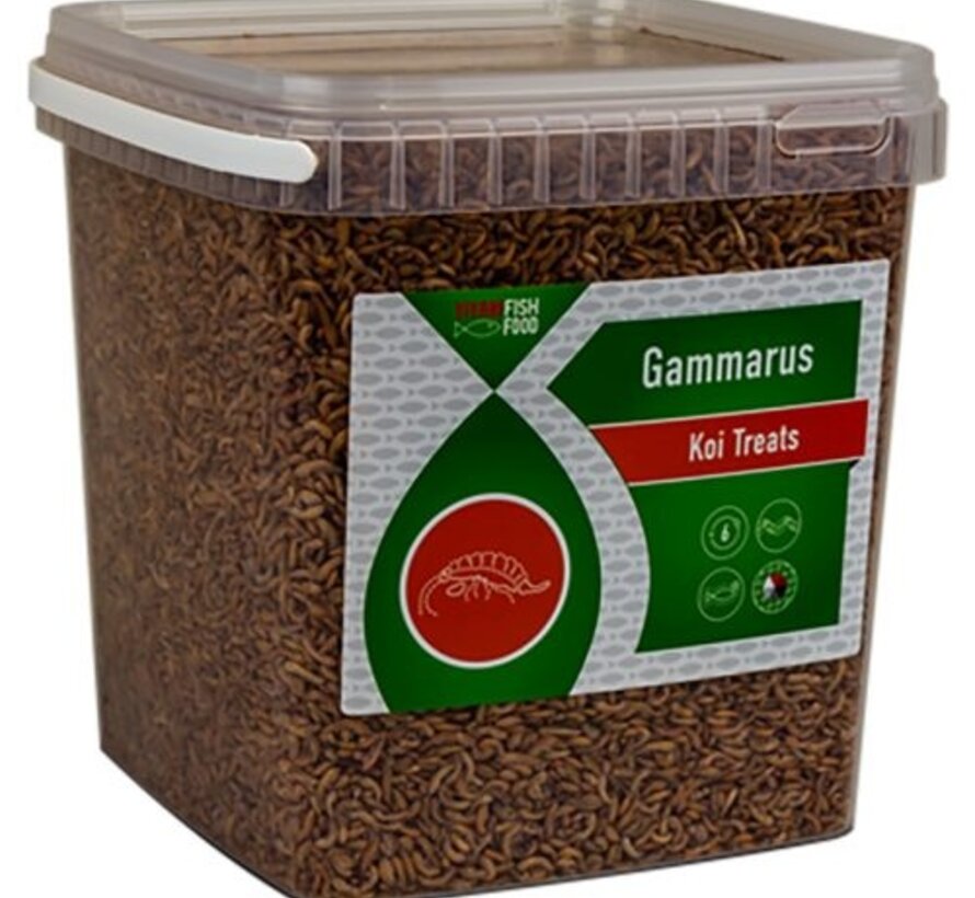 Vivani Gammarus 2.5L