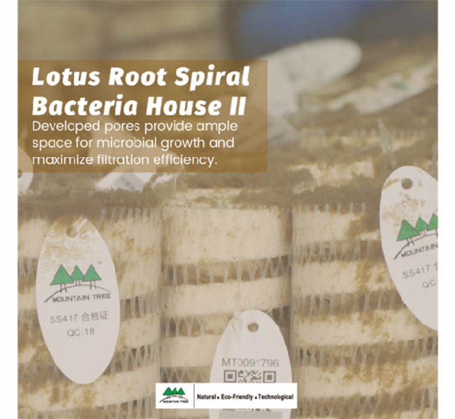 Mountain Tree Lotus Root Bacteria House II doos a 15 stuks 25 x 8 cm