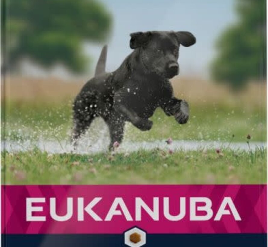 Eukanuba Junior Large Kip Hondenvoer 3kg