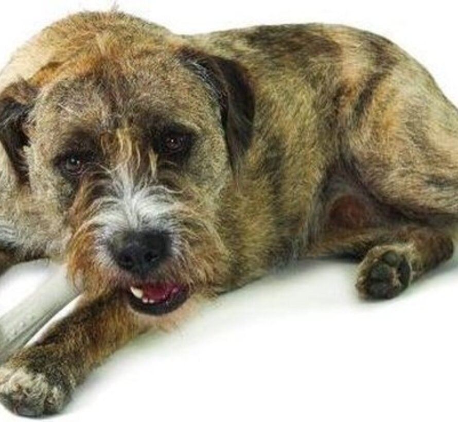 Petstages Deerhorn Gewei Kauwbot Petite voor Honden XS (1st)