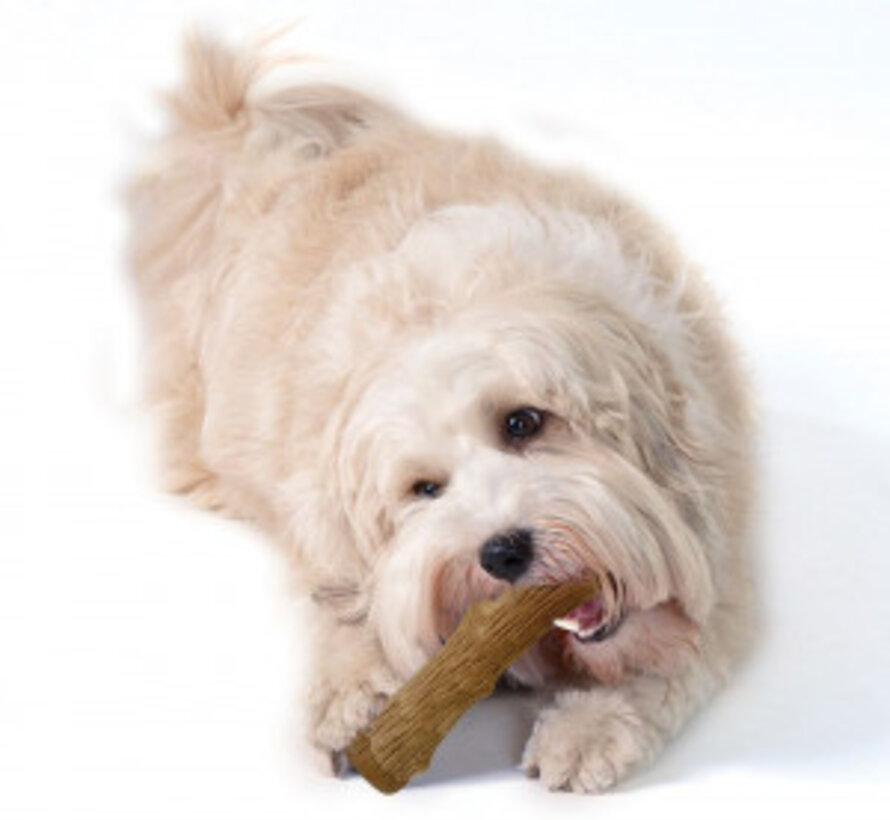 Petstages Dogwood Stick Kauwbot Medium voor Honden (1st)