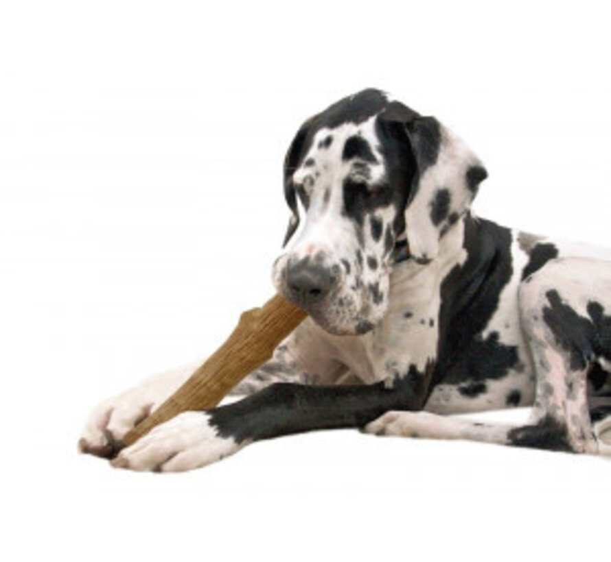 Petstages Dogwood Stick Kauwbot Small voor Honden (1st)