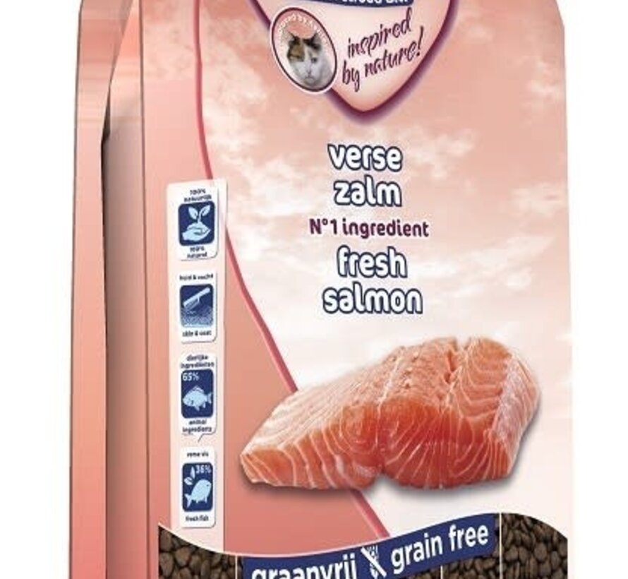 Renske Super Premium Droog Kat Adult Zalm Kattenvoer 1,5kg