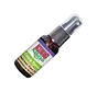 Kong Catnip Spray