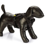 Beeztees Beeztees Premium Y-Tuig Parinca Zwart 80-95X30