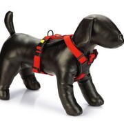 Beeztees Beeztees Premium Y-Tuig Parinca Rood 49-57X20