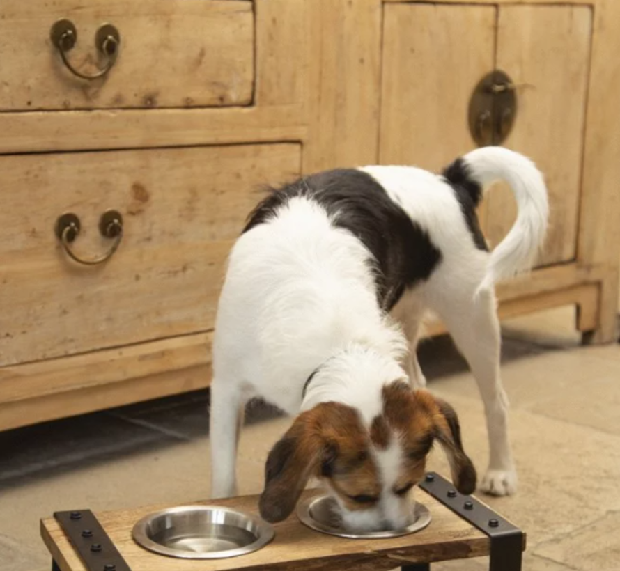 Dinerset Hond Hout/Metaal incl. 2 bakjes