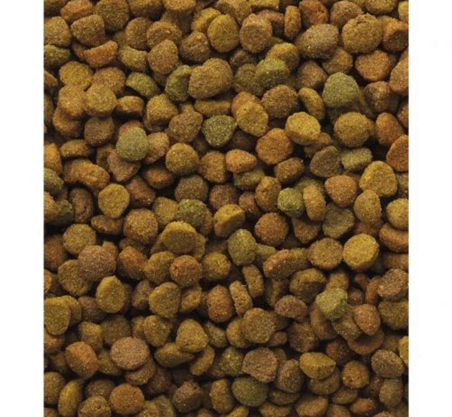 Variety kat 4-mix 10 kg