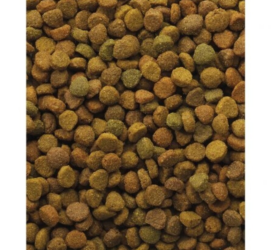 Variety kat 4-mix 10kg