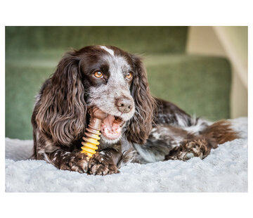 Nylabone Nylabone Extreme Chew Textured Bone Beef & Cheese XL