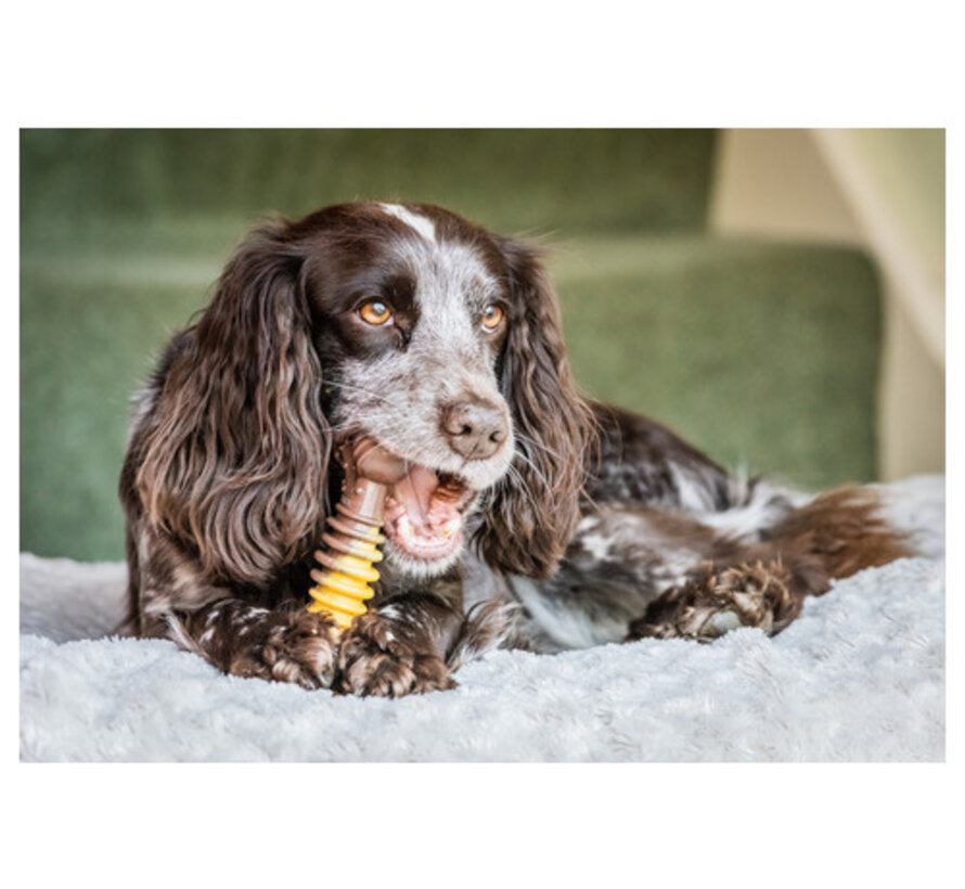 Nylabone Extreme Chew Textured Bone Beef & Cheese XL