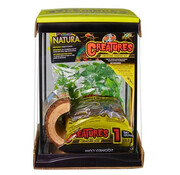 Zoo Med Zoo Med Creatures Mini Terrarium Voor Insecten 22x22x29cm