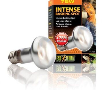 Exo Terra Wxo-Terre Intense Basking Spot Lamp 75watt