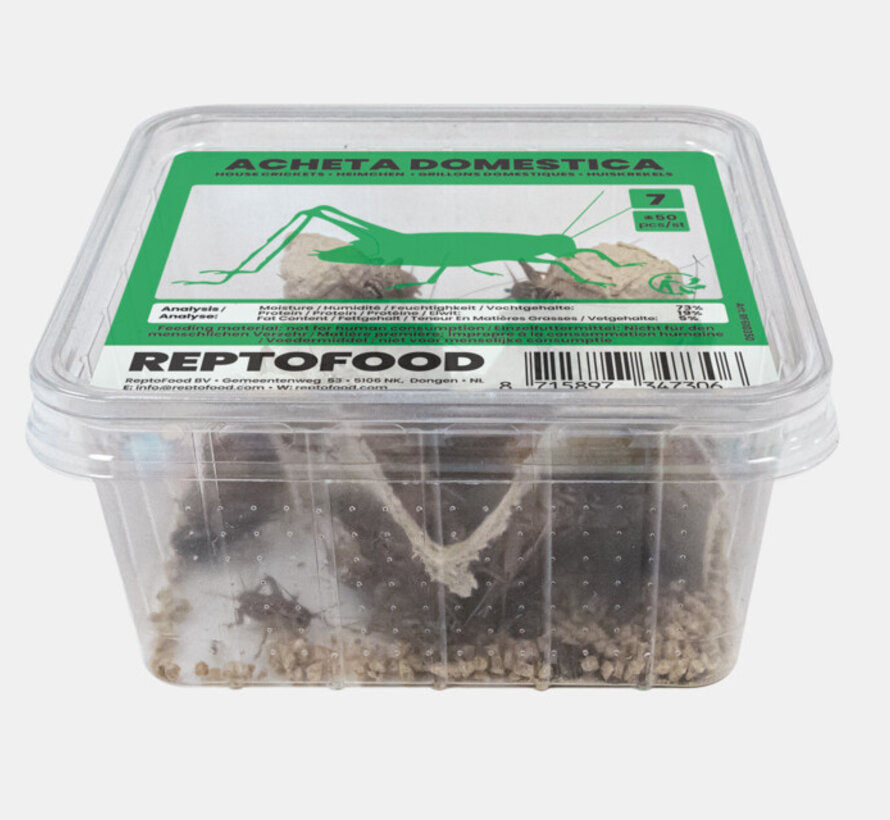 Reptofood Huiskrekels, Doos Maat 7