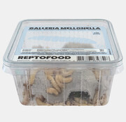 Reptofood Reptofood Wasmotten Doos