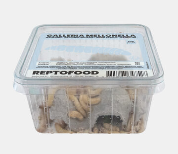 Reptofood Reptofood Wasmotten Doos