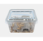 Reptofood Wasmotten Doos