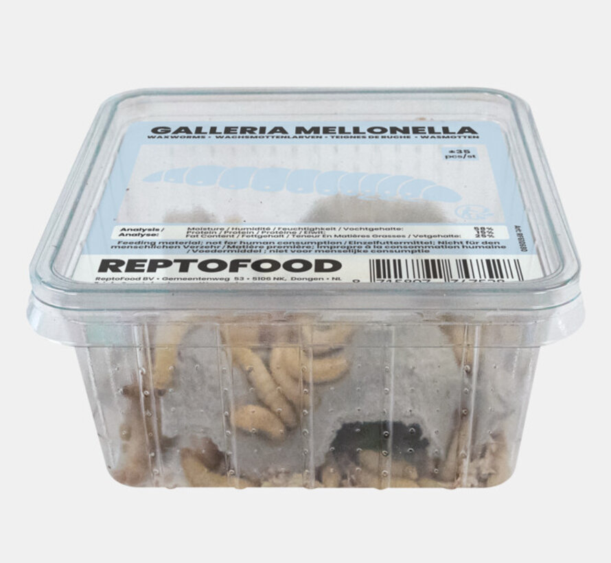Reptofood Wasmotten Doos