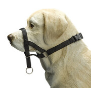 Beeztees Beeztees Dog Control - Halsband Hond (M)
