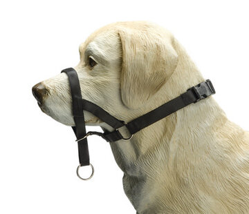 Beeztees Beeztees Dog Control - Halsband Hond (M)