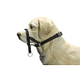 Beeztees Dog Control - Halsband Hond (XL)