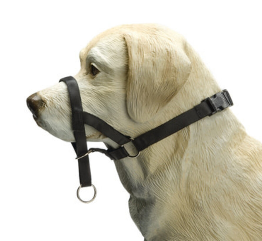 Beeztees Dog Control - Halsband Hond (XL)