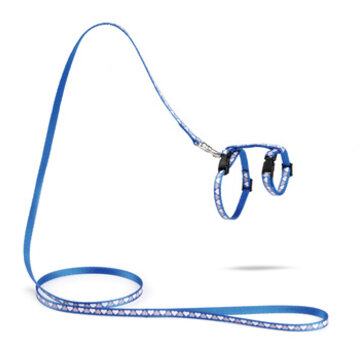Beeztees Beeztees Kittentuigje Blauw