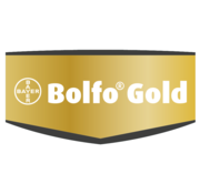 Bolfo