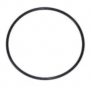 Aquaforte O-Ring Voor Pomphuis RD802 & RD804