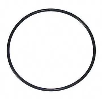 Aquaforte O-Ring Voor Pomphuis RD802 & RD804