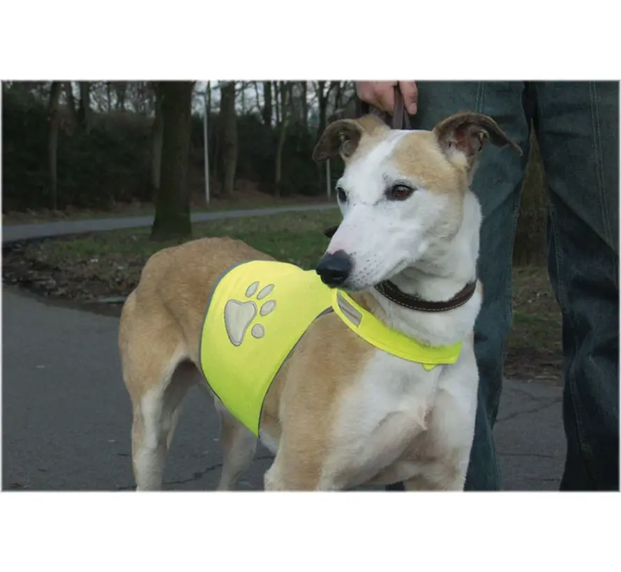 Beeztees Safety Gear Veiligheidsvest Hond Geel L