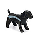 Beeztees Saby Hondenjas Zwart/Blauw 28cm